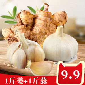 土生姜500克 大蒜头500克组合套餐 小黄姜沙土生姜2022调味料去腥