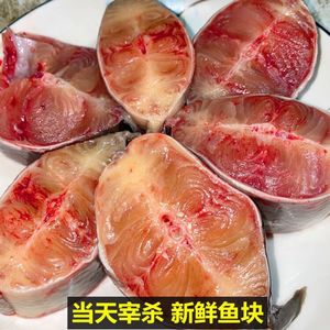鲶鱼新鲜