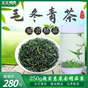 云南勐海展销会毛冬青茶叶250g正品野生特级嫩芽小叶毛东清中药材