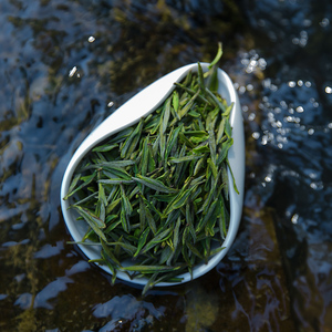2021年新茶长兴核心产区顾渚紫笋茶唐代贡品高山绿茶明前浓香包邮