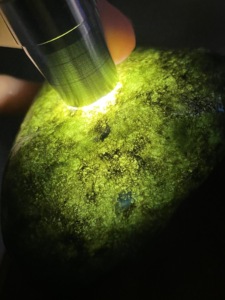 缅甸翡翠原石 老坑格应角 全透 完整 牌子料 种老 水头长 起荧光