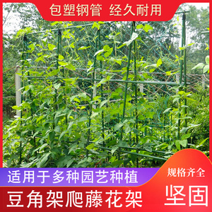 豆角架黄瓜架子菜架子蔬菜种植箱爬藤架庭院菜园种菜支架支撑架杆