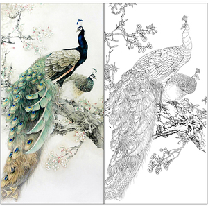 工笔孔雀白描