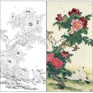 tp215金鸿钧工笔画牡丹白描底稿国画花鸟小品临摹勾线素材线描稿