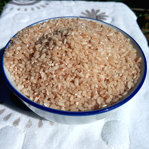 大凉山泸沽湖高原米小麻谷原生态老品种糙米杂粮五谷5斤包邮