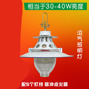 【送灯纱4】低价沼气灯沼气照明灯脉冲全自动点火沼气用品沼气照