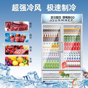 饮料展示柜冷藏冰柜保鲜单双三开门冷饮冷柜商用单门啤酒冰箱立式