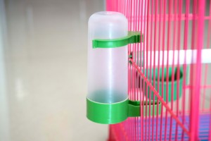 特价自动鸟饮水器鸟喂水器水壶水缸鸟笼配件 宠物用品用具饮水器