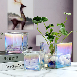 水培花盆玻璃瓶创意方缸玻璃花瓶透明绿萝铜钱草水养植物器皿容器