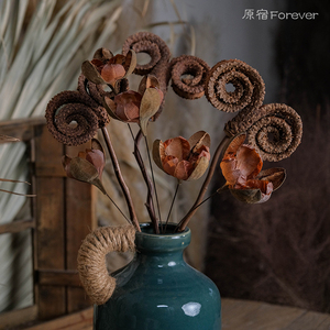 南非进口真植物干花羊角天然干枝极简风家居民宿客厅装饰软装搭配