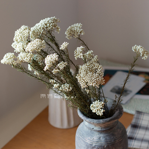 天然小米花干花清新家居装饰花材插花搭配民宿摆设永生花摆拍道具