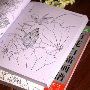百花白描画谱 国画花卉白描画谱线描底稿初学入门花卉临摹范本书