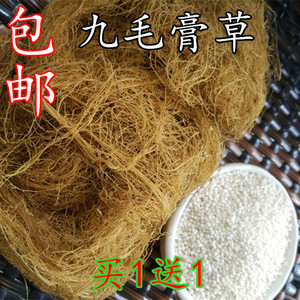 汕尾海丰特产狗毛膏草 九毛膏 九毛糕 石花膏 海石花 天然海藻