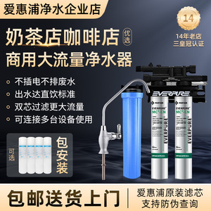 爱惠浦净水器商用大流量MC2双联净水器奶茶店咖啡店专用直饮水机