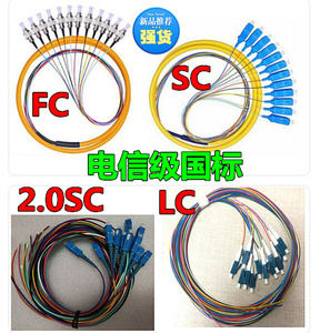 单模电信级12芯SC方头束状尾纤12芯FC圆头束状尾纤束纤尾缆另回收