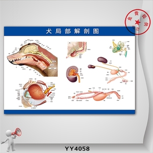770人付款天猫创意仿真狗狗墙壁贴画个性卧室床头装饰墙贴纸宠物店
