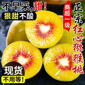 [礼盒装】四川红心猕猴桃10斤奇异果水果市场黄新鲜弥核桃绿