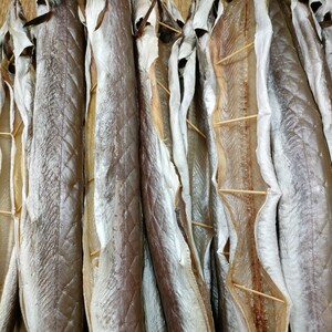 00温氏食府淘宝切块2斤鳗鱼海鳝干 湛江特产船晒自制整条全风晒海