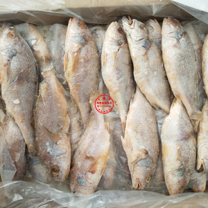 黄姑鱼冷冻