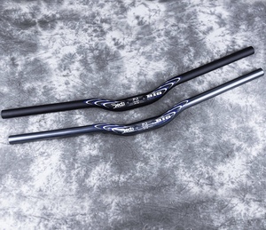 死飞车把大燕把