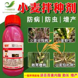 小麦拌种剂戊唑吡虫啉天邦防病虫增产福拌全蚀病蚜虫悬浮种衣剂