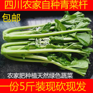 四川青菜杆棒青菜农家新鲜蔬菜芥菜泡菜原料棒棒菜大头青菜