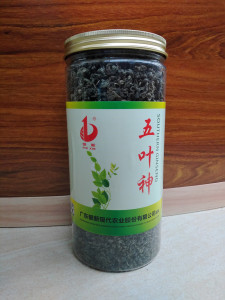 银新 五叶神茶 五叶神芽芯 包邮