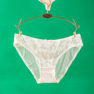 白色透明刺绣内裤
