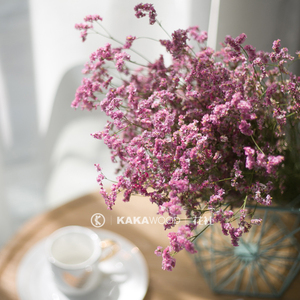 ins北欧风粉色水晶草干花花束干燥花风干装饰插花配材diy花材家居