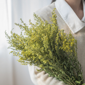 kakawood黄莺草配草天然植物花艺花苞客厅桌面百搭真花装饰餐厅花