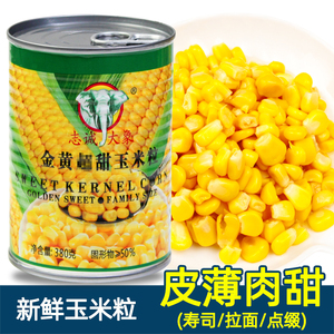 甜玉米罐头380g  寿司/烘焙/披萨/沙拉/色拉原料 栗米粒