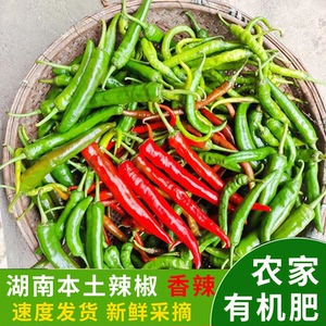 湖南新鲜青红辣椒农家自种现摘现发中特辣本地老品种辣椒炒肉