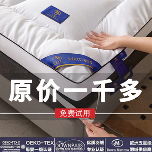五星级酒店床垫软垫家用榻榻米垫子租房专用褥子宿舍学生单人垫被