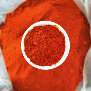 细辣椒粉末500g散装小吃烧烤微辣蘸料烤肉调料包邮农副称斤