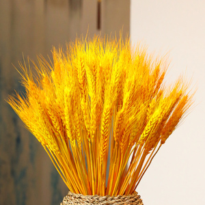 天然黄金麦穗干花花束开业大麦田园客厅装饰摆件插花花瓶摆设道具