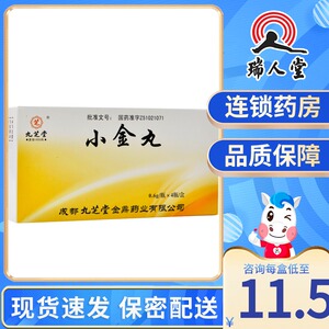 九芝堂 小金丸 0.