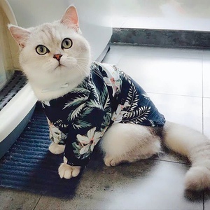 布偶猫的衣服薄款