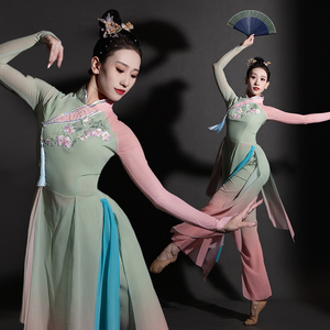 淡妆浓抹舞蹈服装女古典舞演出服中国风秧歌团扇伞舞飘逸艺考新款