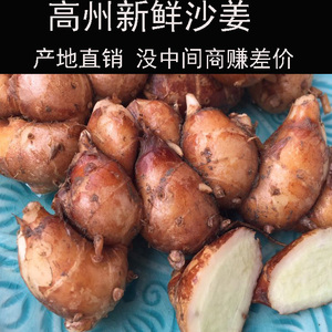 鲜沙姜