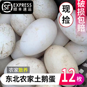 东北鹅蛋农家散养新鲜土鹅蛋大个鹅蛋新鲜孕妇鲜鹅蛋特产12枚整箱