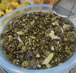 云南德宏山货 苦凉苞 新鲜野菜苦莲苞 清苦 250克