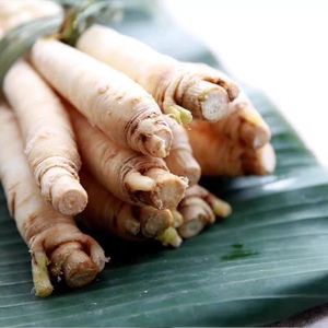 云南野生蔬菜 新鲜茴香根 煮汤炖排骨 软糯老品种500克