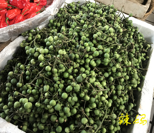 云南深山野味 小苦子 绿色新鲜野菜  油煎苦子果半斤