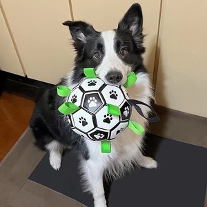 亚马逊爆款狗狗玩具耐咬解闷足球柯基犬小中大型犬互动神器宠物球