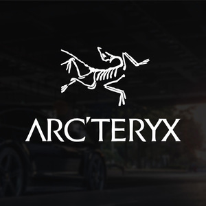 0032人付款淘宝潮牌烫画始祖鸟夜光图案印花胸标定制耐水洗服装胸标热