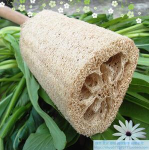 长柄沐浴刷丝瓜刷原生态天然丝瓜络后背刷洗澡刷去角质好帮手清洁