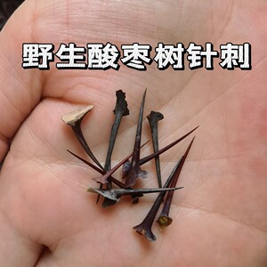 葛针