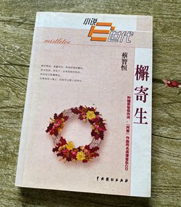 蔡智恒的小说