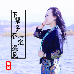 流行音乐梅朵cd女歌手热门流行发烧车载无损音乐碟片