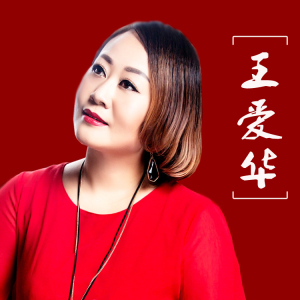王爱华cd新歌感情在降温热门流行汽车载cd碟片无损音乐通用白金网